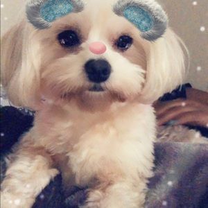 Meet your Posher, Araceli